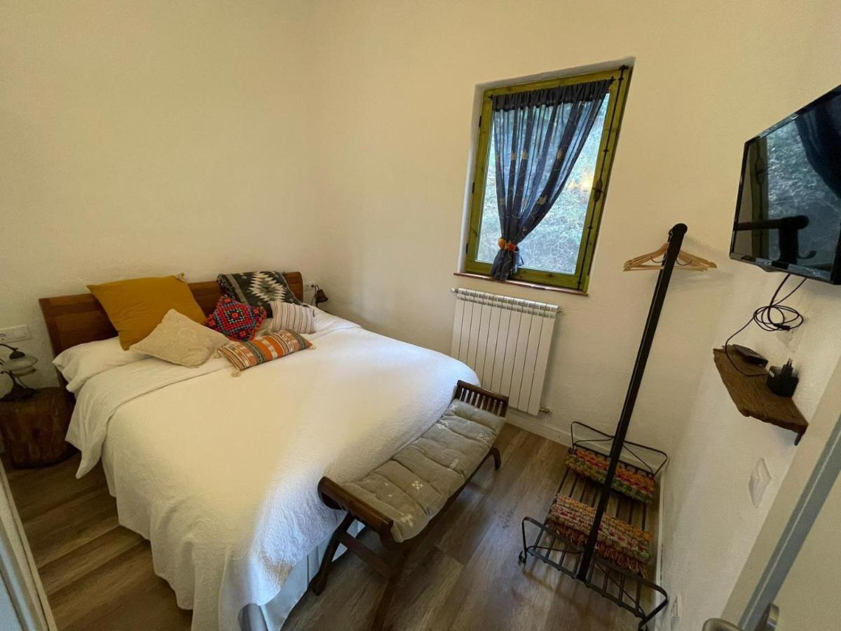 Stunning 4-Bed Cottage In Montseny Natural Park Arbúcies Eksteriør billede